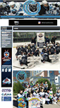 Mobile Screenshot of evolutionelitehockey.com
